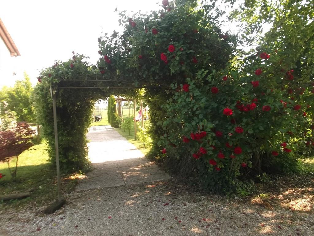 Agriturismo La Prateria ガッツォ エクステリア 写真