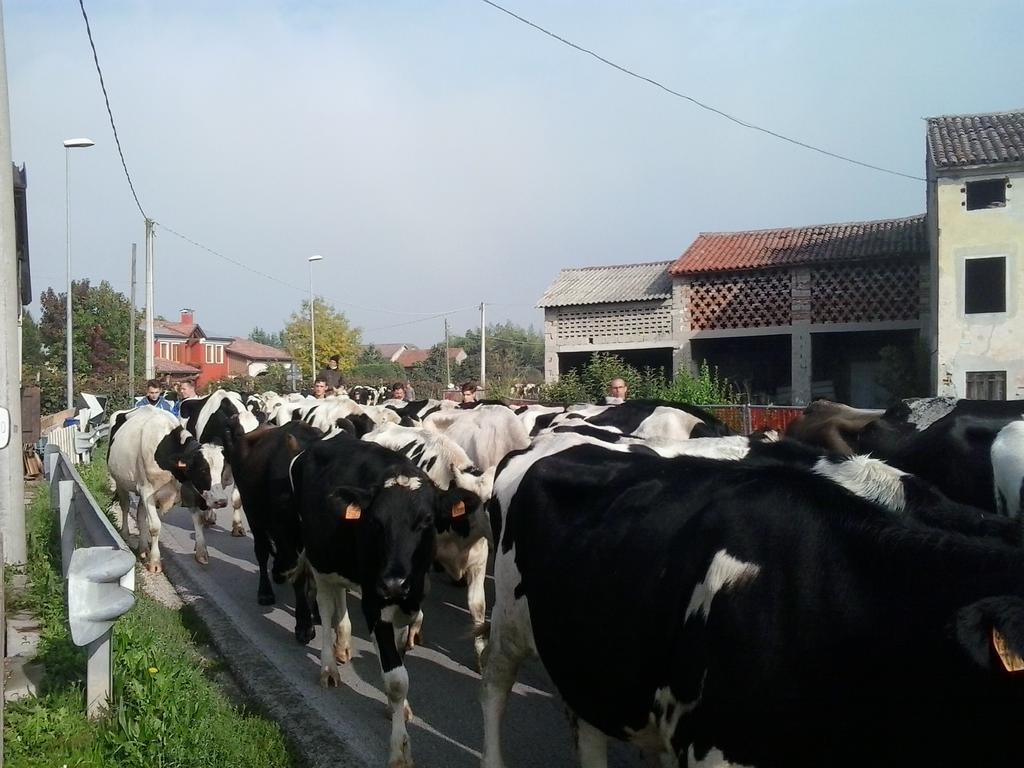 Agriturismo La Prateria ガッツォ エクステリア 写真