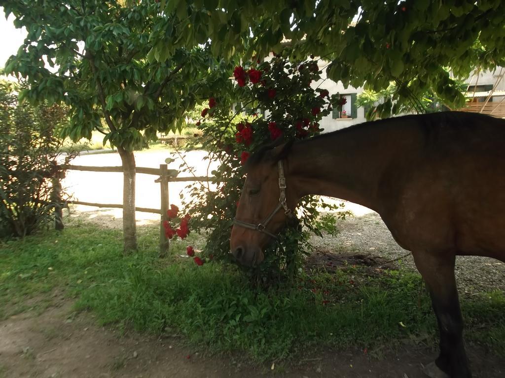 Agriturismo La Prateria ガッツォ エクステリア 写真